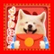 240 Chinese New Year Animoji Stickers for iMessage & WhatsApp, Viber, Kakaotalk, WeChat, QQ and all available apps