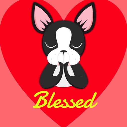 Looking Forward to Blessings - Boston Terrier icon