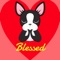 Looking Forward to Blessings - Boston Terrier version was created by a Boston Terriers puppy dog lover/enthusiast