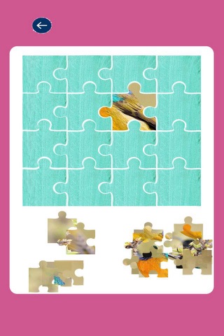 Animals Bird - Hawk King Jigsaw For Kids Puzzle screenshot 2