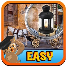 Activities of Horse Neigh Hidden Object Games