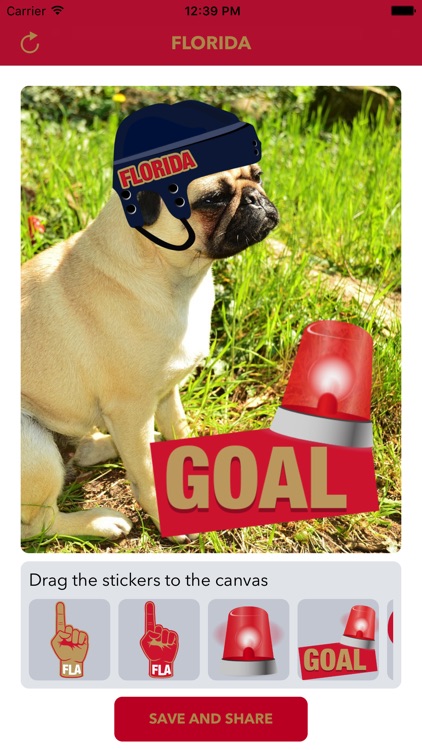 Florida Hockey Stickers & Emojis
