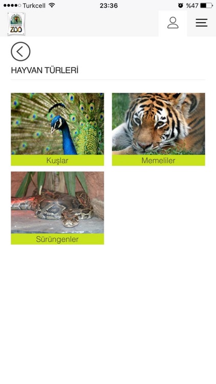 Faruk Yalcin Zoo screenshot-3