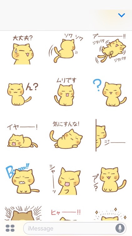 nyanko