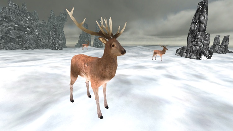 Deer Hunter Shooting FPS GO 2016 screenshot-4