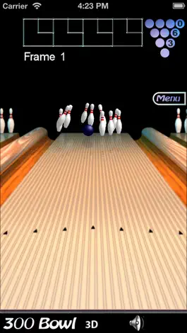 Game screenshot 300 Bowl Universal hack