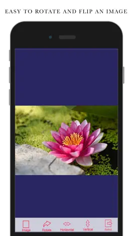 Game screenshot Flipper - flip and rotate a photo mod apk