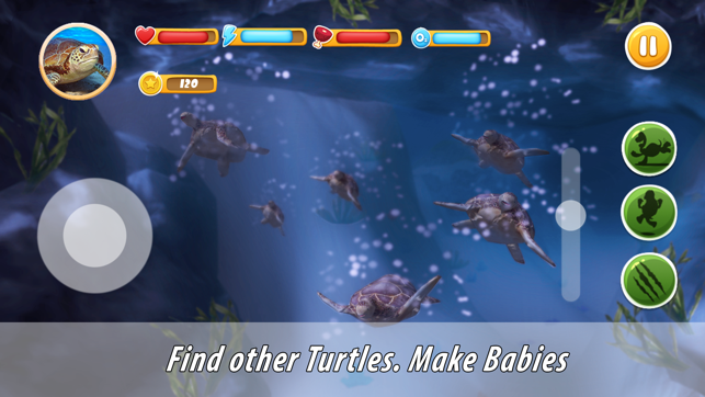 Turtle Family Simulator Full(圖2)-速報App