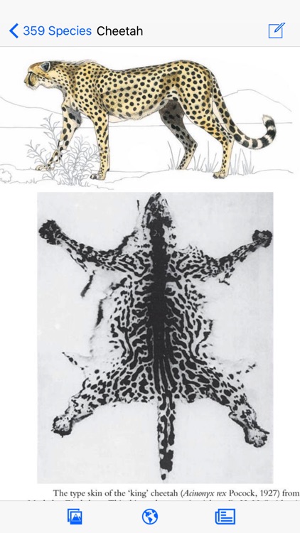 Mammals of the Southern African Subregion