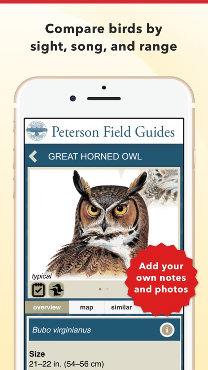 Peterson Bird Identifier & Field Guide screenshot-3