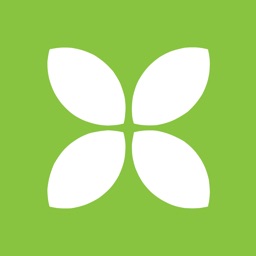 Florists: Fruit Arrangements & Flowers