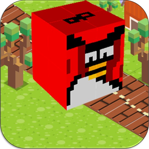 Subway Hero - Pop For Angry Birds Version icon