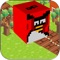 Subway Hero - Pop For Angry Birds Version