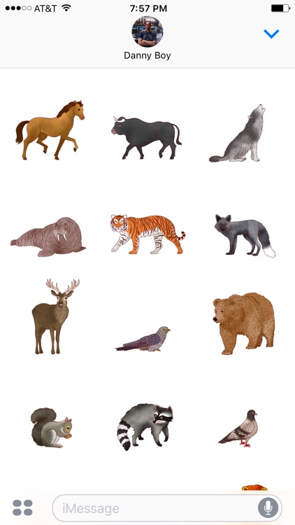 Jazzy World Animals - Wildlife Zoo Stickers screenshot-4