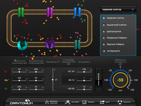 Craytonium Interactive Neurophysiology screenshot 2