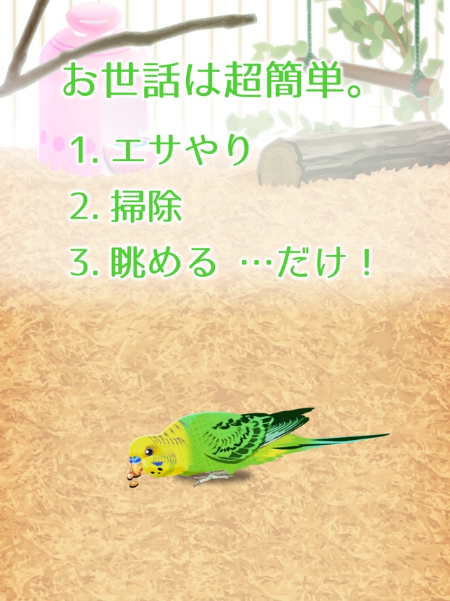 癒しのインコ育成ゲーム をapp Storeで