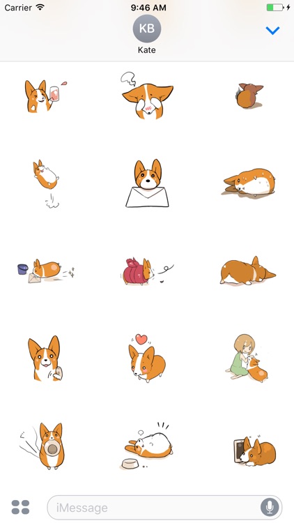 Lovely Corgi Animated Sticker screenshot-3