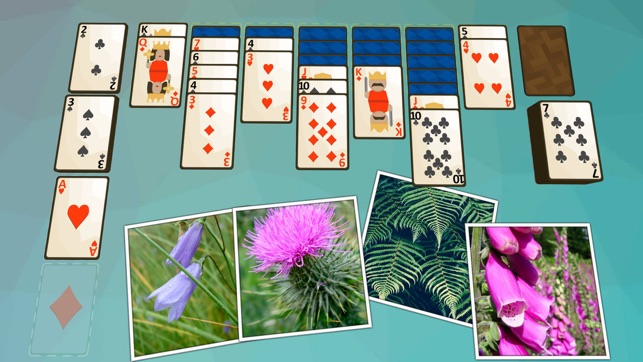 Solitaire Plants(圖1)-速報App