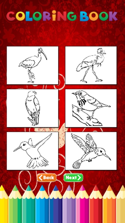Bird Coloring Book - Activities for Kid screenshot-3