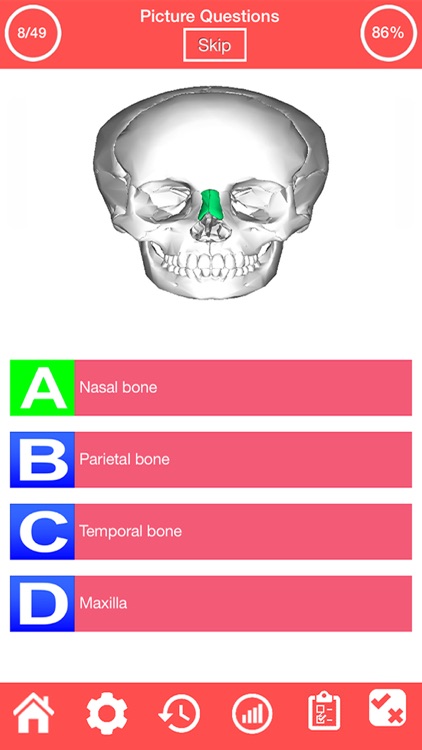 Human Skeletal System Quiz