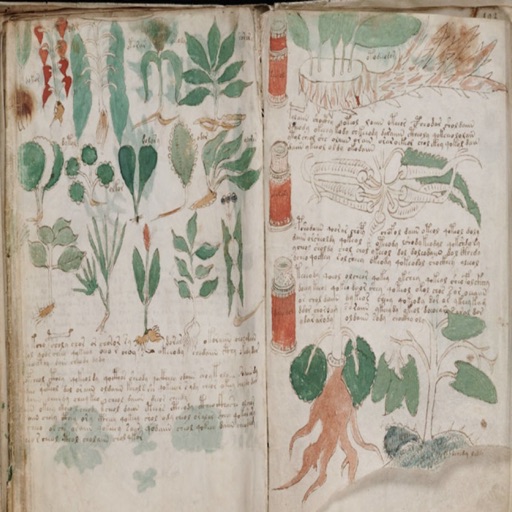 Voynich Manuscript! icon