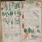 Voynich Manuscript is a great collection with the most interesting photos and info