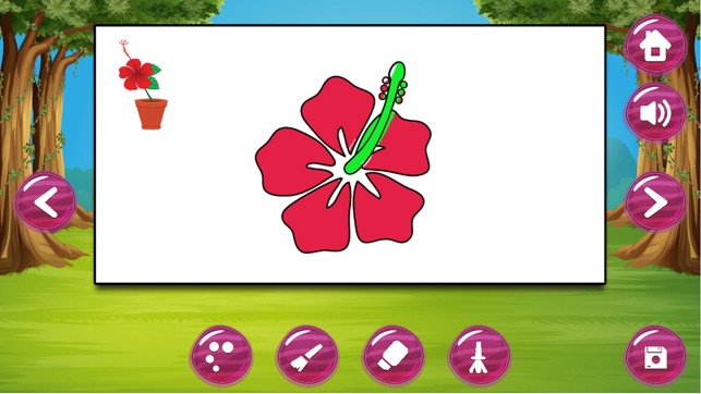 Learn about Flowers(圖2)-速報App