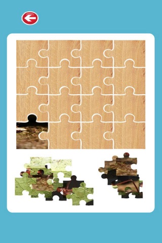 Animal Ant Animal Jigsaw For Kids Preschool screenshot 2