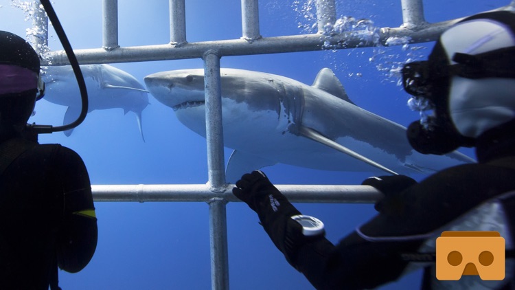 VR Reality Shark Cage for Google Cardboard