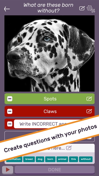 PlayPhoto : Trivia Picture Quiz 1000s of Quizzes