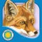 Join Mother and Father Fox as their teach their four cubs to hunt, escape danger, and survive on their own