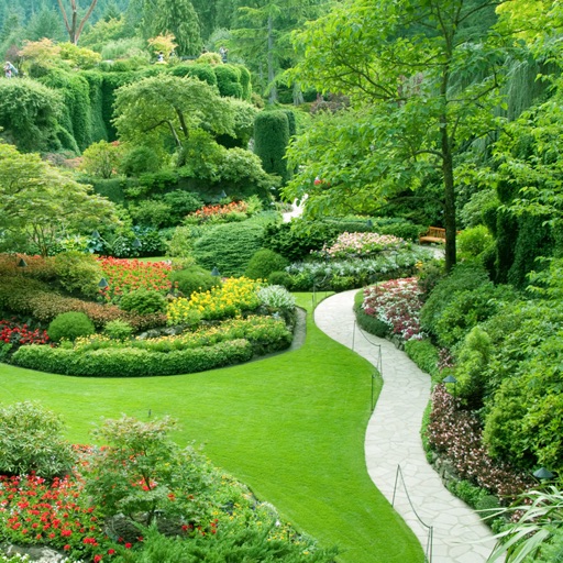 Yard & Garden Designs | Landscape & Remodels Ideas icon