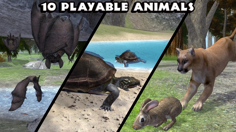 Ultimate Forest Simulator