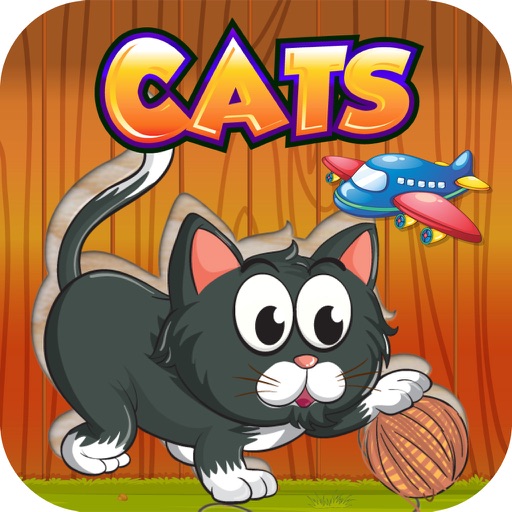 Funny kitten Puzzle for Girl - Pre K Education iOS App