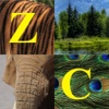 ZooConnector2