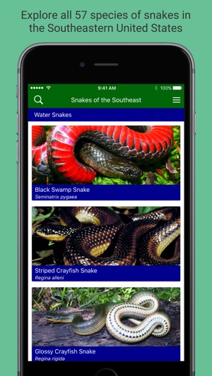 Snakes of the Southeast(圖1)-速報App