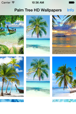 Beautiful Palm Tree Wallpapers (HD) - Backgrounds screenshot 2