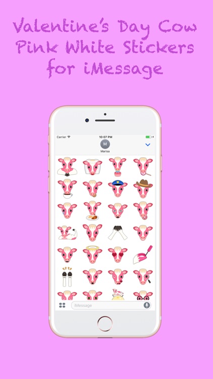 Valentine's Day Pink White Cow Stickers