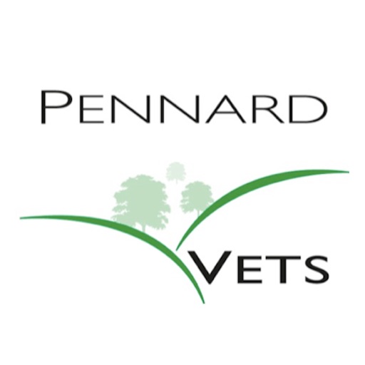 Pennard Vets