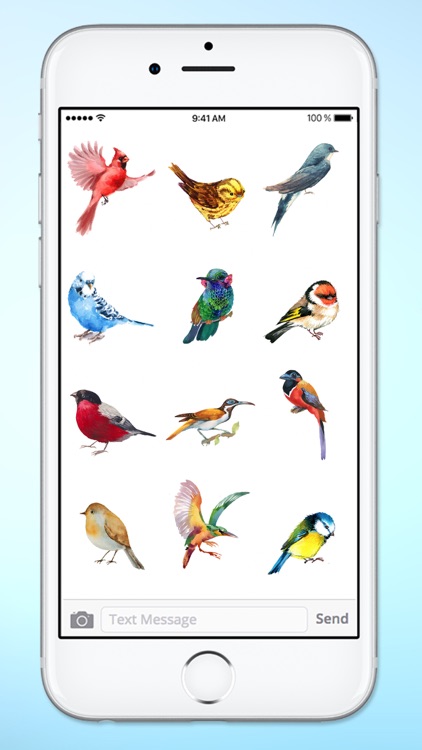 Watercolor Birds Sticker Pack