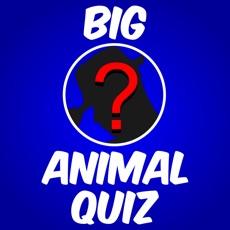 Activities of Big Zoo Animals Quiz Maestro