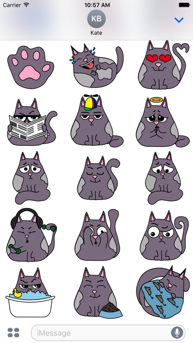 How to cancel & delete Fat cat Smoky - stickers with cats for iMessage. from iphone & ipad 3