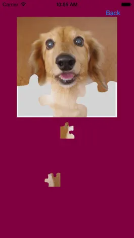 Game screenshot Dog Jigsaw Puzzle hack