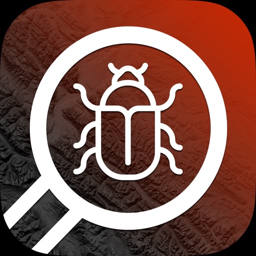 Pine Beetle App Icon