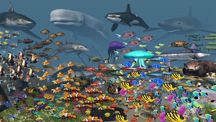 VR Sea Life Aquarium 3D