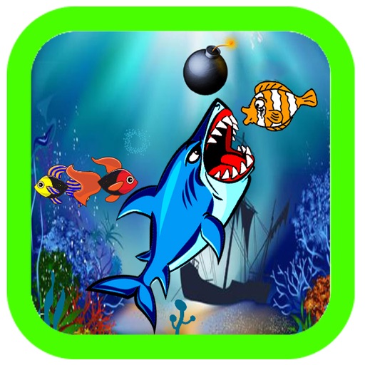 big fish adventure games shark attack for everyone icon