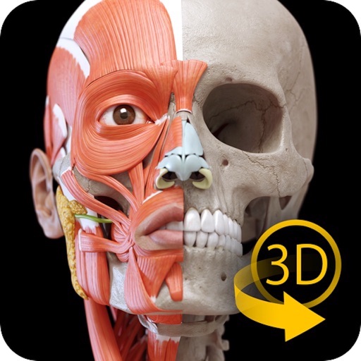 Muscle Skeleton - 3D Anatomy icon