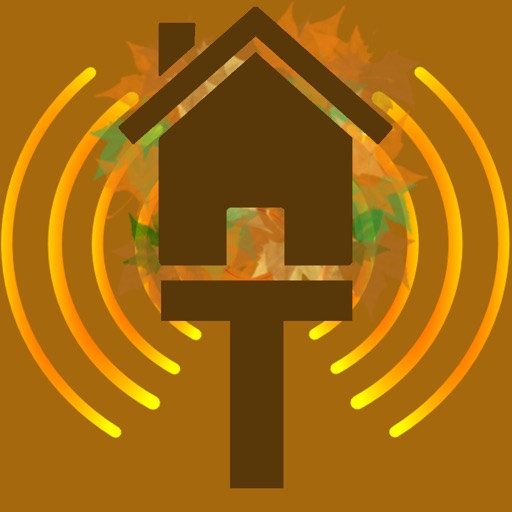 Treehouse Radio iOS App