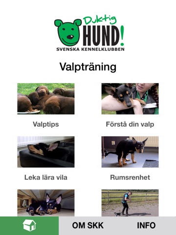 Duktig Hund! screenshot 2