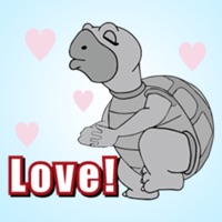 Grey Turtle